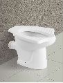 Anglo Indian P Type Toilet Seat