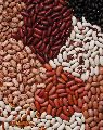 Red White natural kidney beans