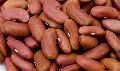Oval Organic red kidney beans