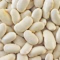 Oval Organic white kidney beans