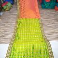 Light Green Embroidered Sarees