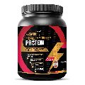 HEALTHY 100% GOLD STANDARD WHEY PROTEIN WITH DHA, MCT AND DIGEZYME - 500 gms - CHOCOLATE FLAVOUR