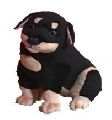 Polyester Rottweiler Puppy Toys