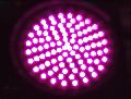 Purple LED Traffic Signal Lights