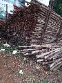 Softwood Lumber