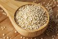 organic quinoa seeds