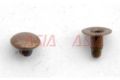 Asiawala Brass Steel Metal Rivet Button
