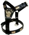 Leather Dog Harness with Brass Fittings