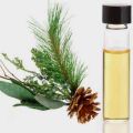 Pale Yellow Transparent organic pine oil
