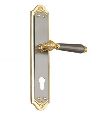 Golden Polished flex brass mortice handle