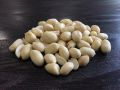 Whole Blanched Groundnuts
