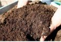 Natural Vermicompost