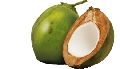 Country Tender Coconut