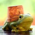 Multicolor Resin Back Garden Nursery ceramic frog planter pot