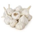 Fresh Small Garlic