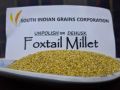 Foxtail millet dehusk (thinai)