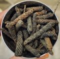 long pepper