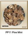 International Mongers Dried Flowers Available All Color dried mini pine flower