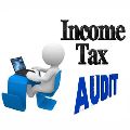 Corporate Tax Audit Services