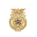 Gold Plated Badge