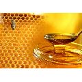 Organic Natural Honey