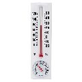 Push Button Thermometer