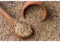 Millets Seed