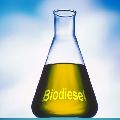 Brown biodiesel fuel oil