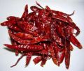 Fresh Natural  Dried Red Chilly