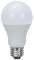 LED Daylight Light Bulb