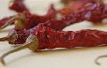 Stemmed Dried Red Chili