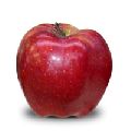 Red Chief Apple
