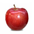 Red Prince Apple