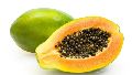 Fresh organic papaya 
