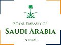 Saudi Visa Assistance