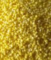 yellow millet