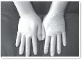 Polymer Coated Gloves