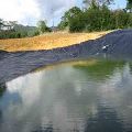 LDPE Plastic Sheets For Rainwater Harvesting Pond Cover