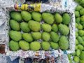 Fresh Badami Mango