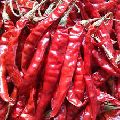 dry red chilli