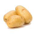 Fresh Organic Potato