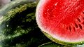 fresh watermelon