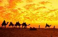 Rajasthan Honeymoon Tour Package