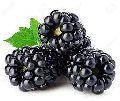 Fresh Organic Blackberry