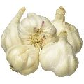 25mm Fresh Garlic