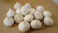 Single Clove Garlic
