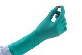 Polyisoprene Surgical Gloves