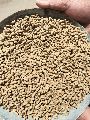 maize cattle feed