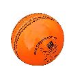 GA Test Cricket Ball