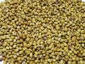 Ethiopia Coriander Seeds